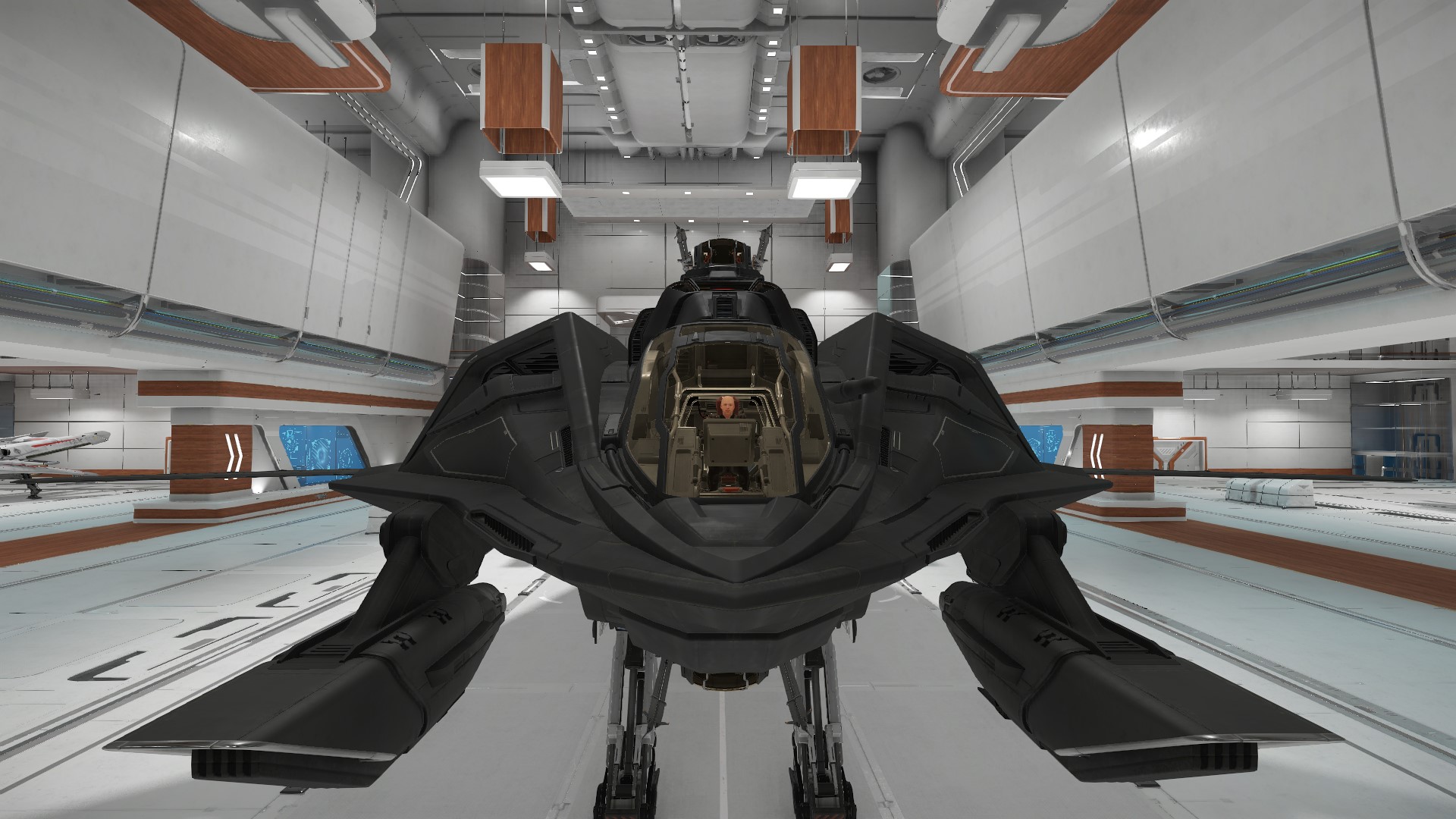 http://www.phoenix-fr.com/simulation/starcitizen/screenshot/hangar/retaliator/ScreenShot0012.jpg