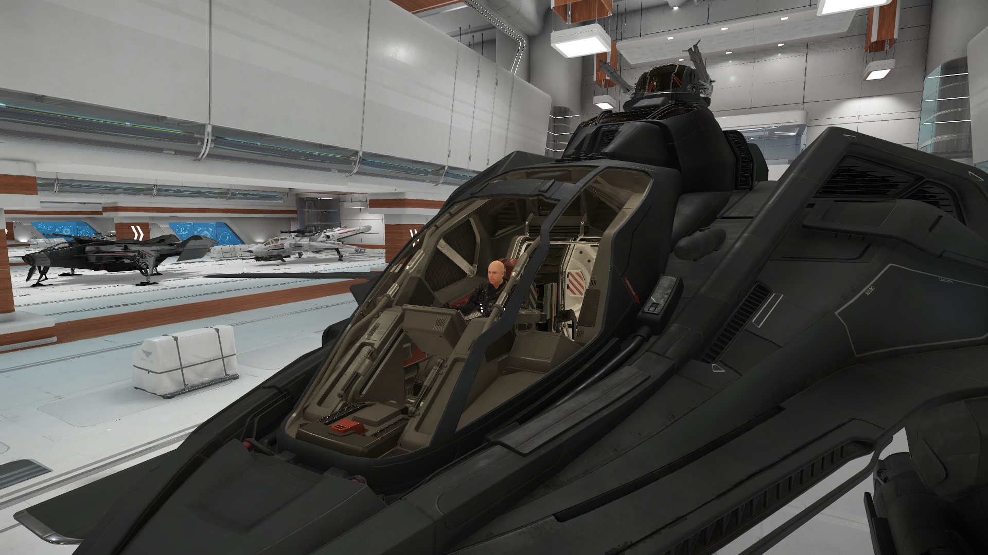http://www.phoenix-fr.com/simulation/starcitizen/screenshot/hangar/retaliator/ScreenShot0013.jpg