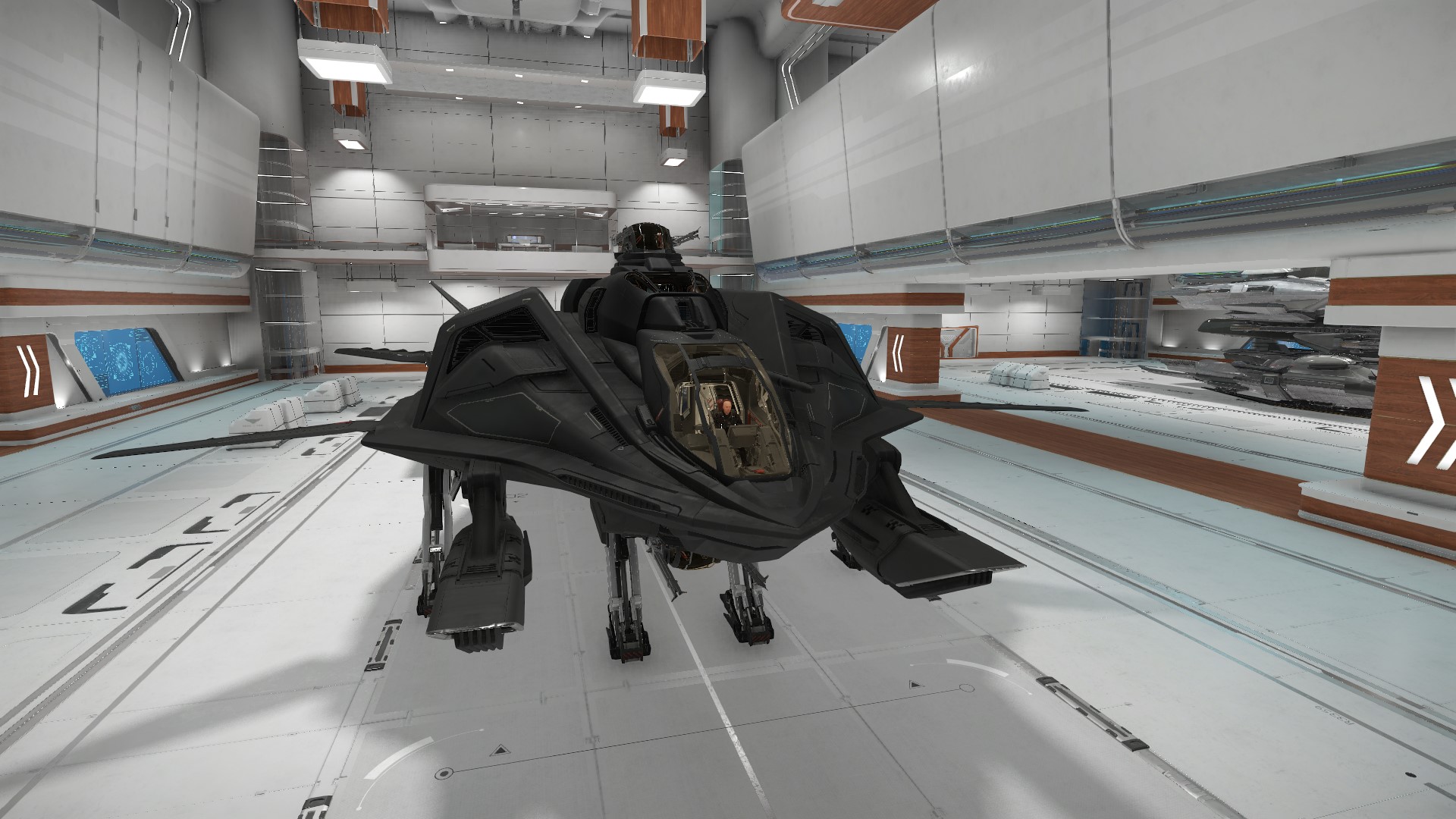 http://www.phoenix-fr.com/simulation/starcitizen/screenshot/hangar/retaliator/ScreenShot0016.jpg